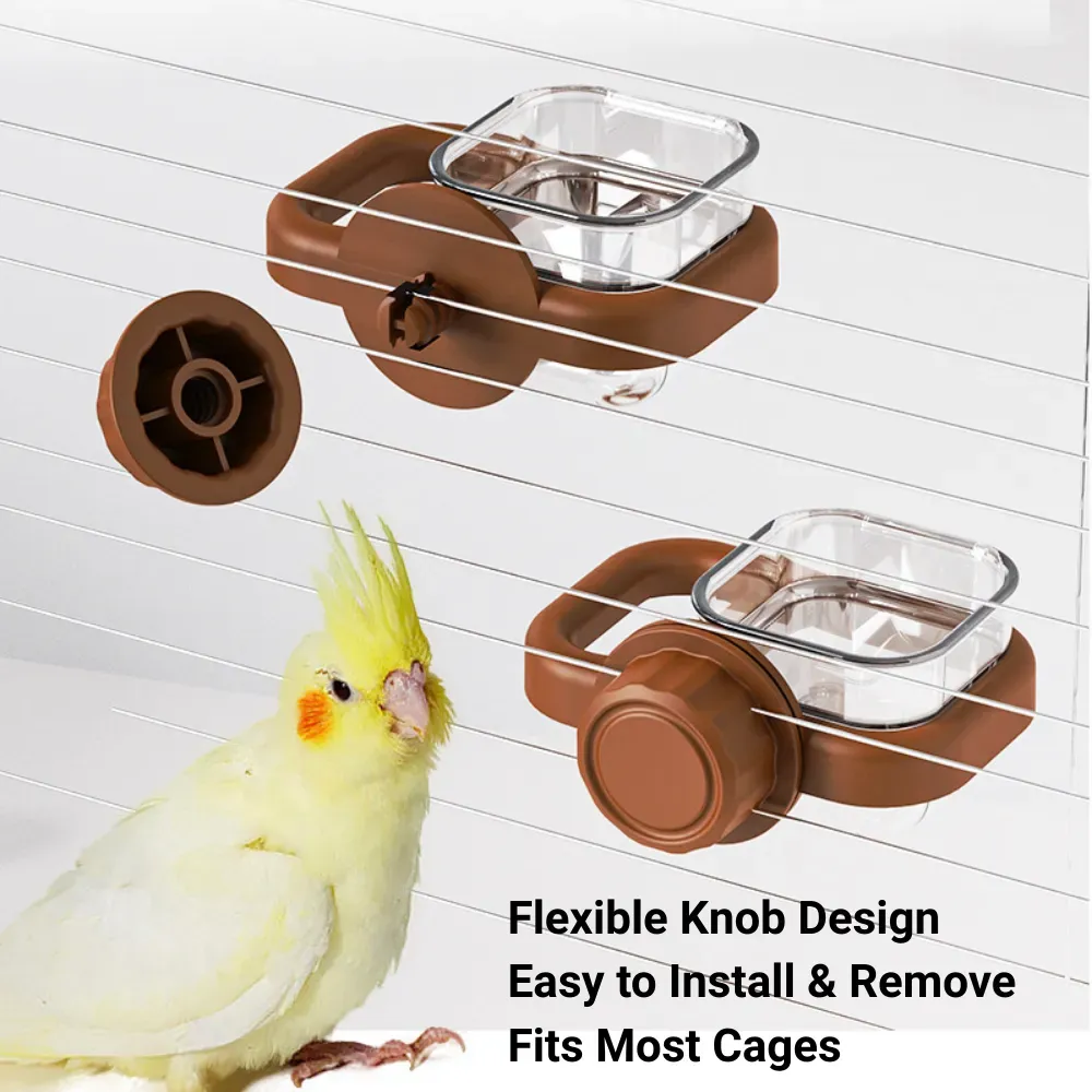 pet bird feeding accessory