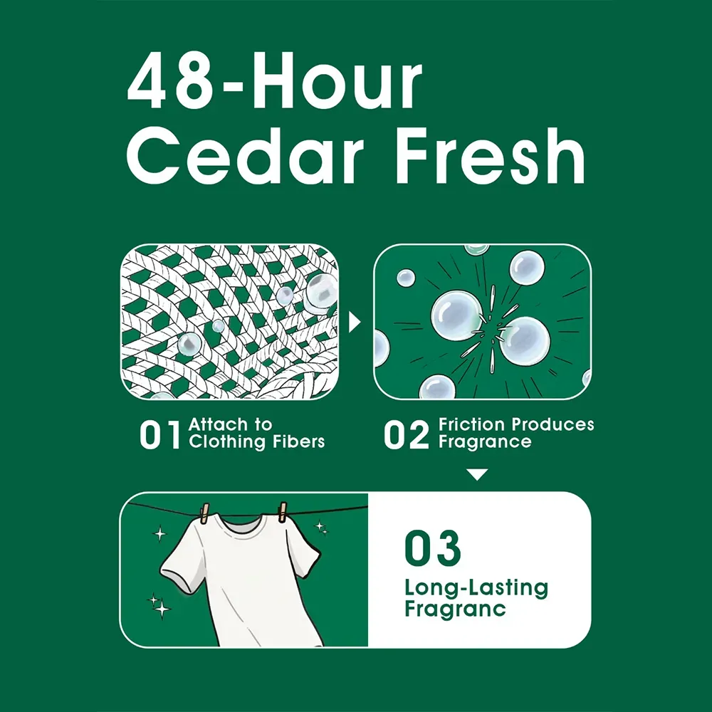 48-hour cedar fresh