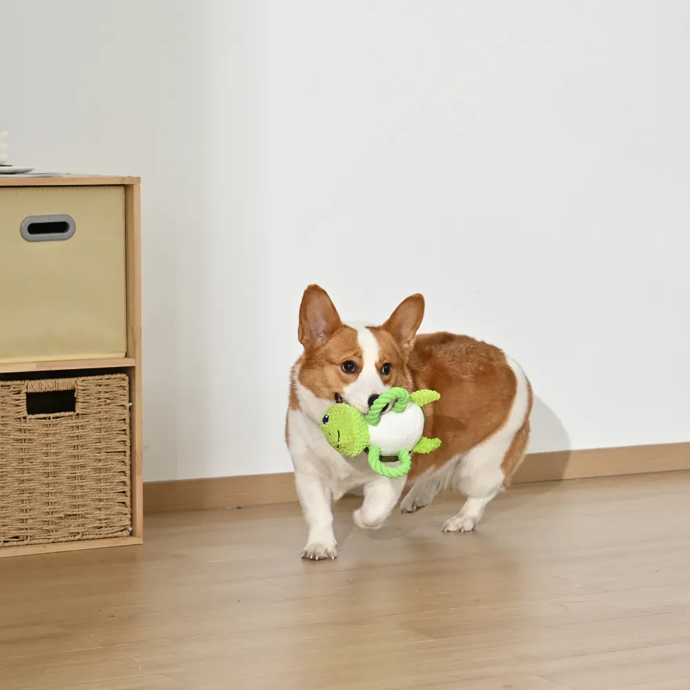 Green Turtle Style Tug-of-War Dog Toy with Squeaker4