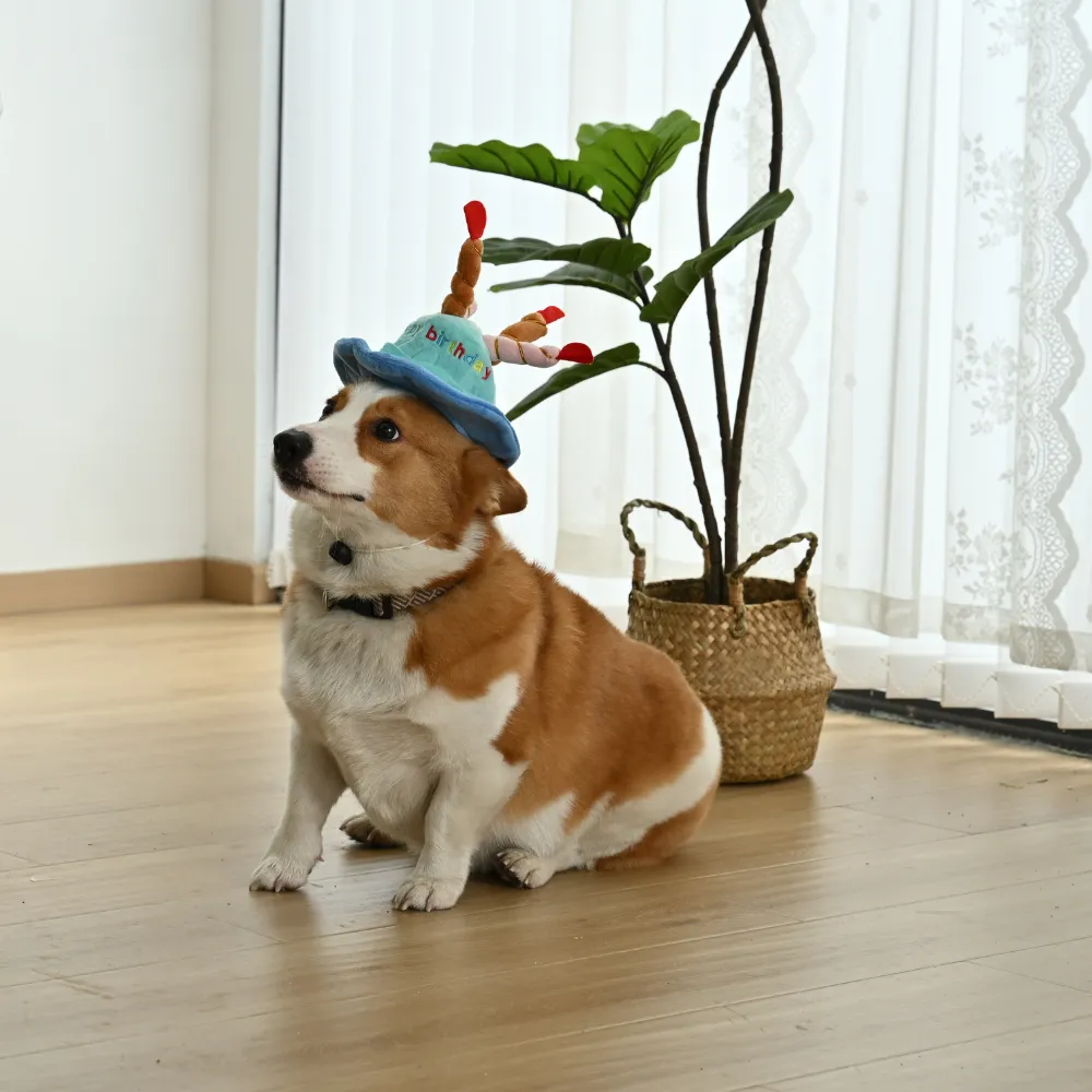 Adjustable Cute Plush Dog Birthday Hat4