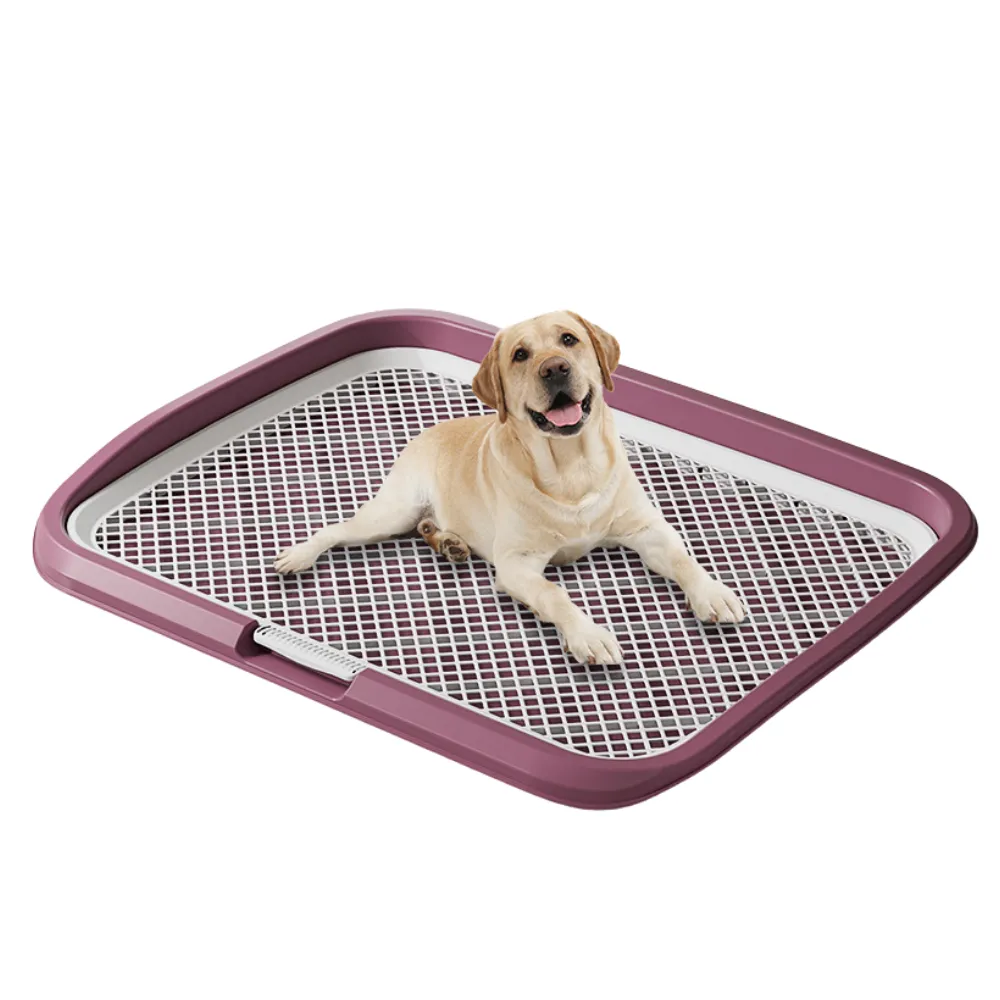 Puppy Mesh Training Toilet Potty Tray_4