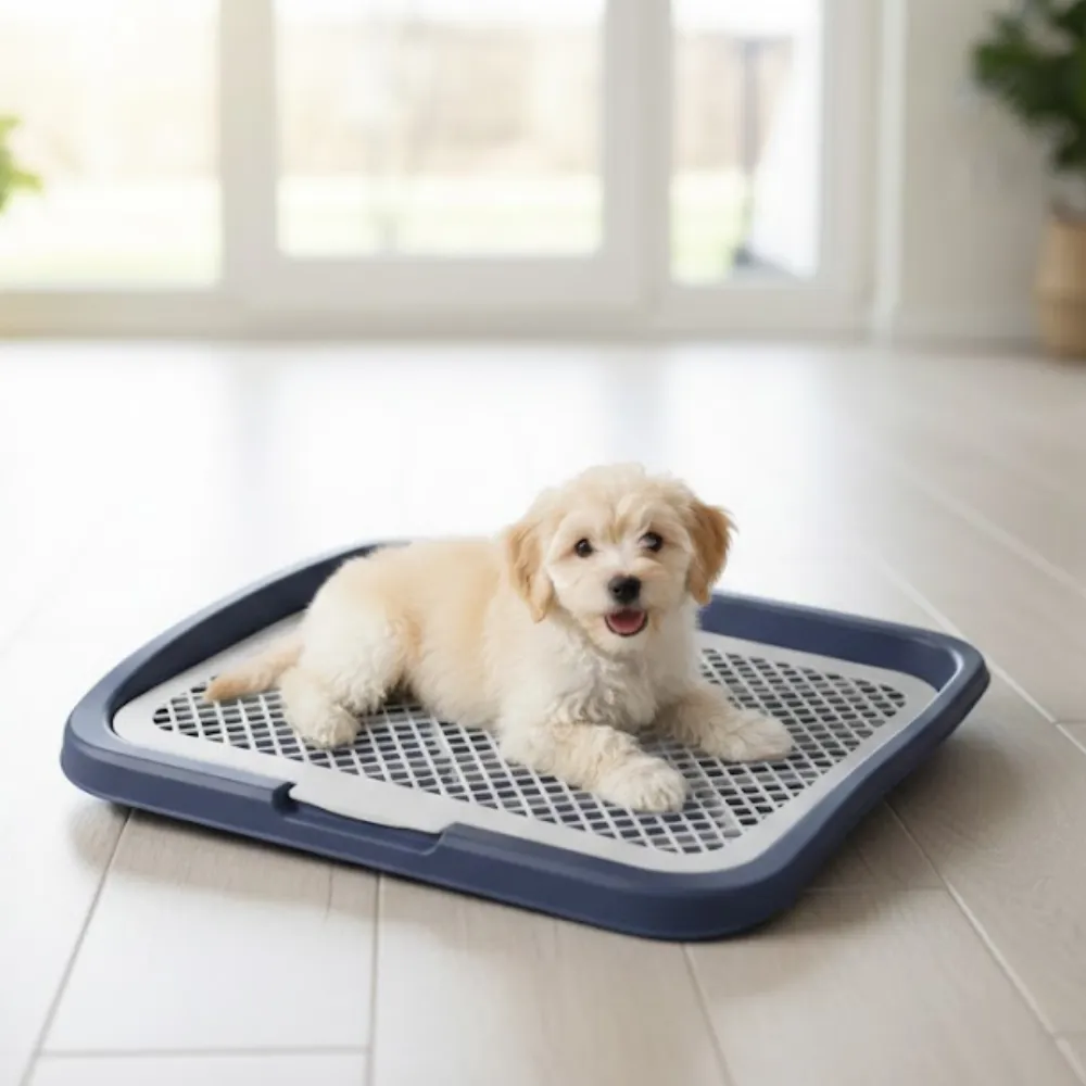 Puppy Potty Tray_8