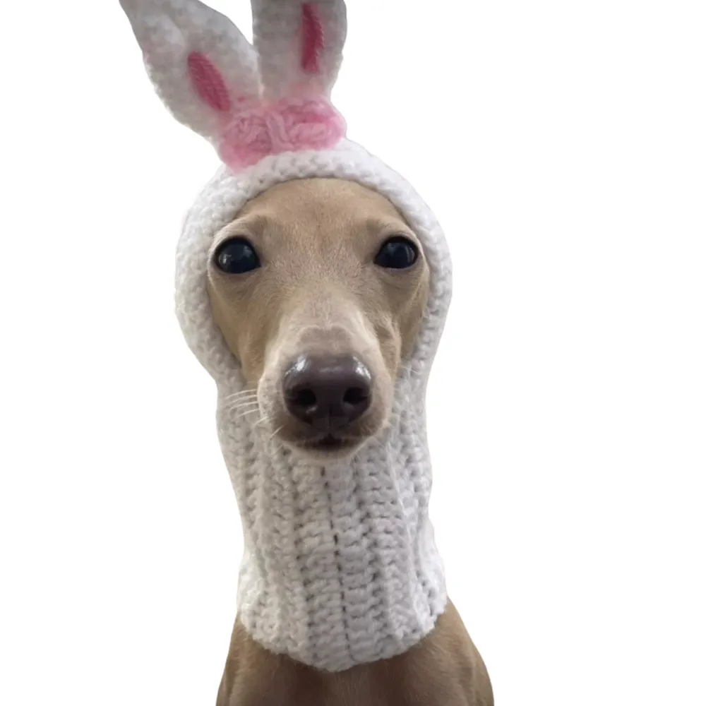 Pet Easter Hat (10)