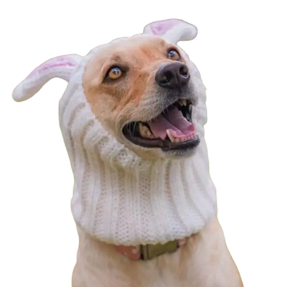 Pet Easter Hat (12)