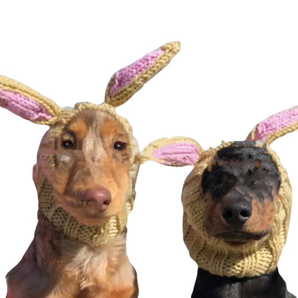 Pet Easter Hat (11)