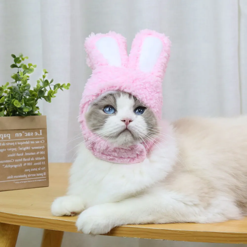 Pet Easter Hat (4)