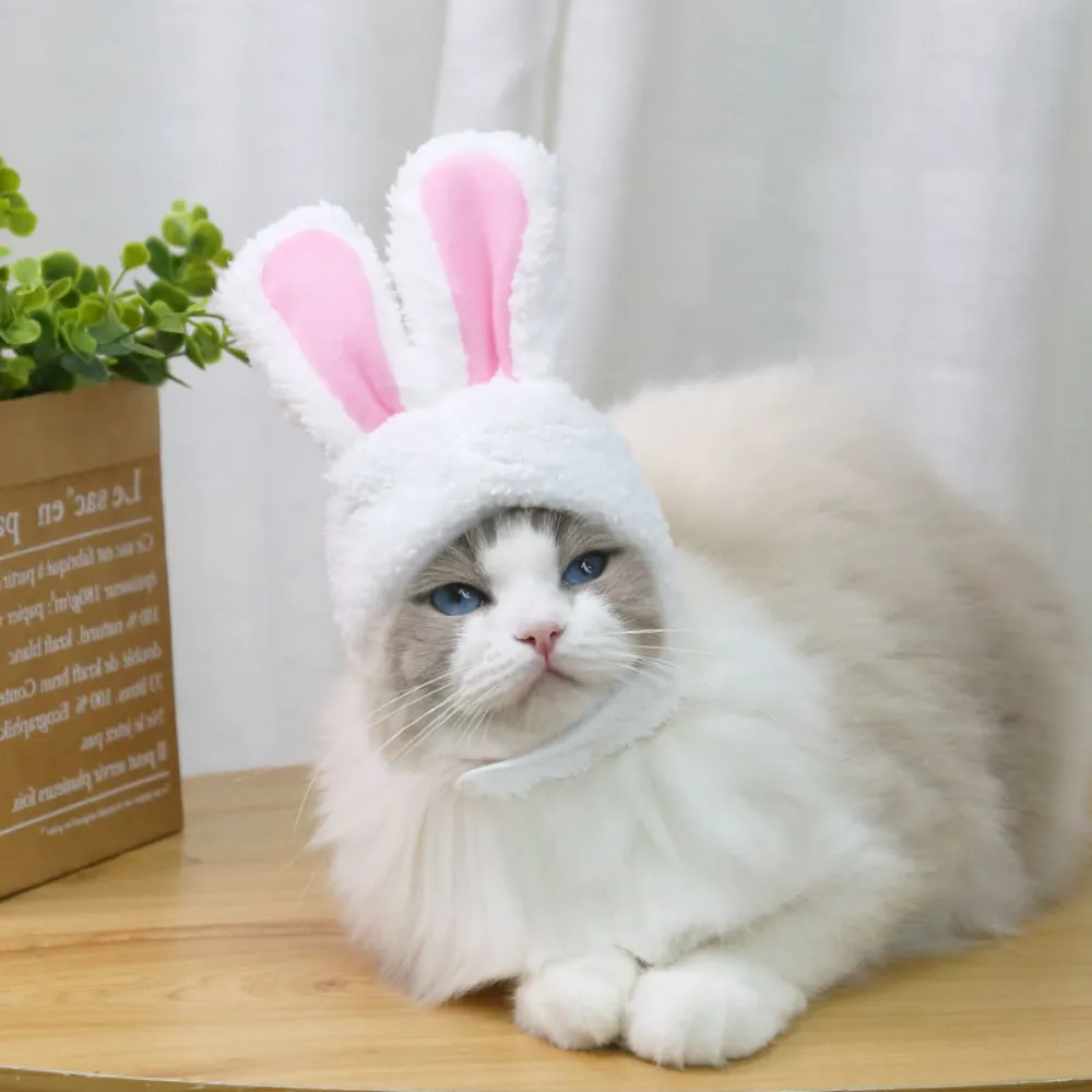 Pet Easter Hat (3)
