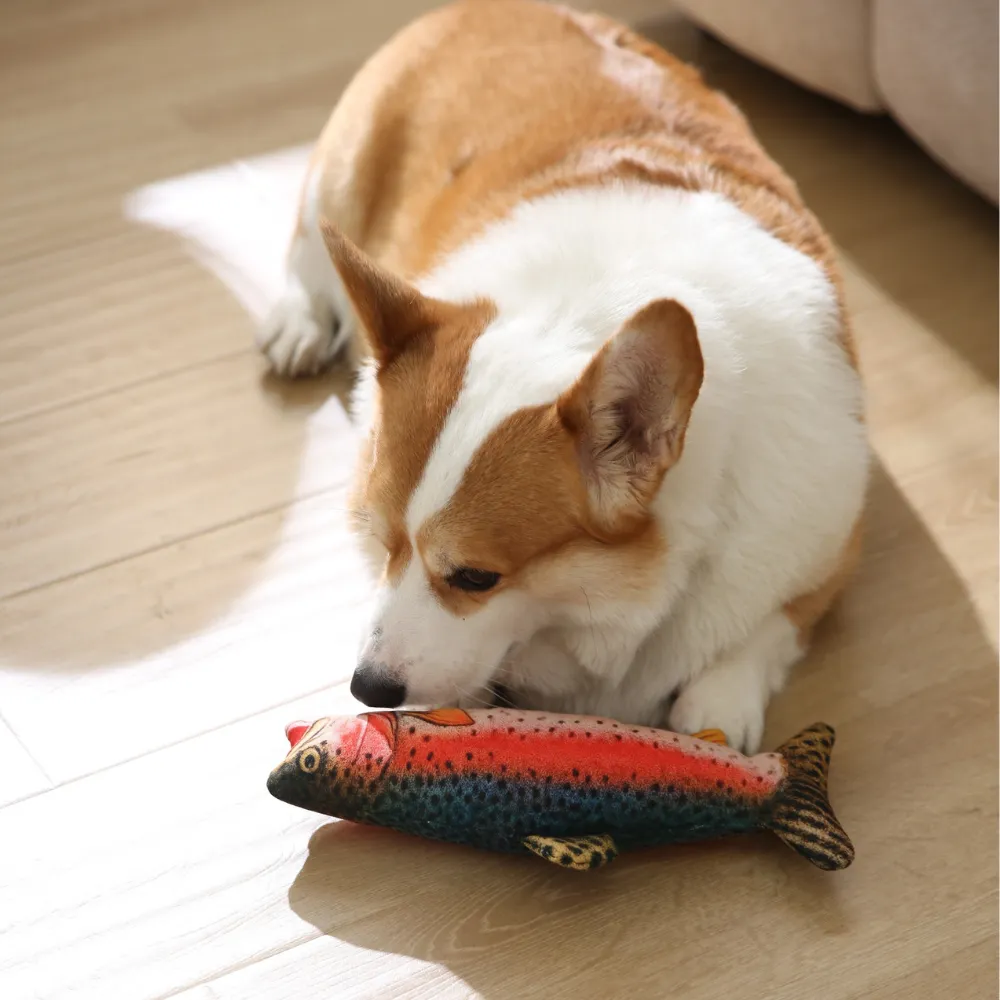 Realistic Rainbow Trout Style Durable Squeaky Plush Dog Toy2
