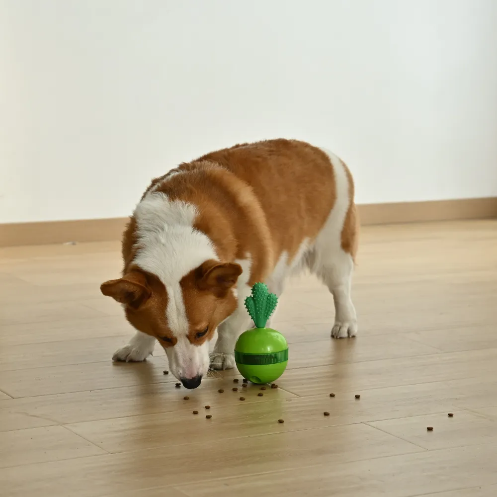 Detachable Green Radish Design Rotatable Treat Dispensing Dog Toy3
