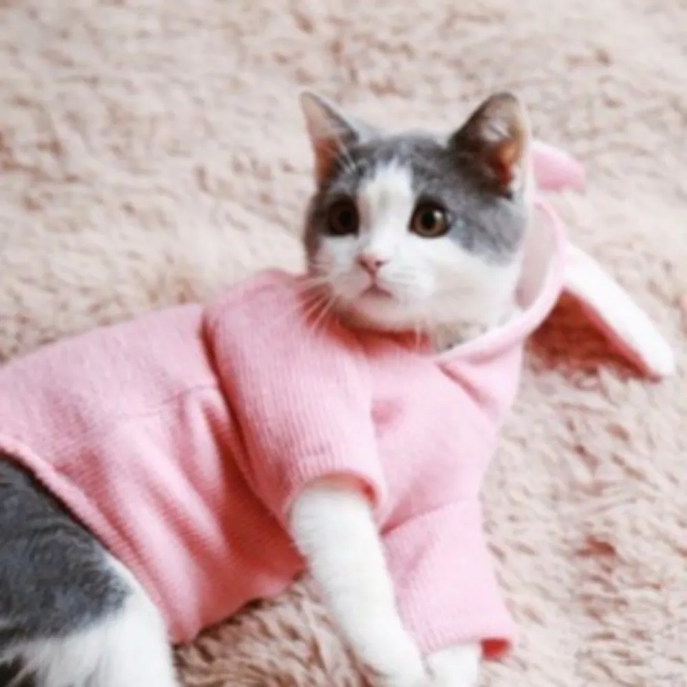 dog hoodie_8