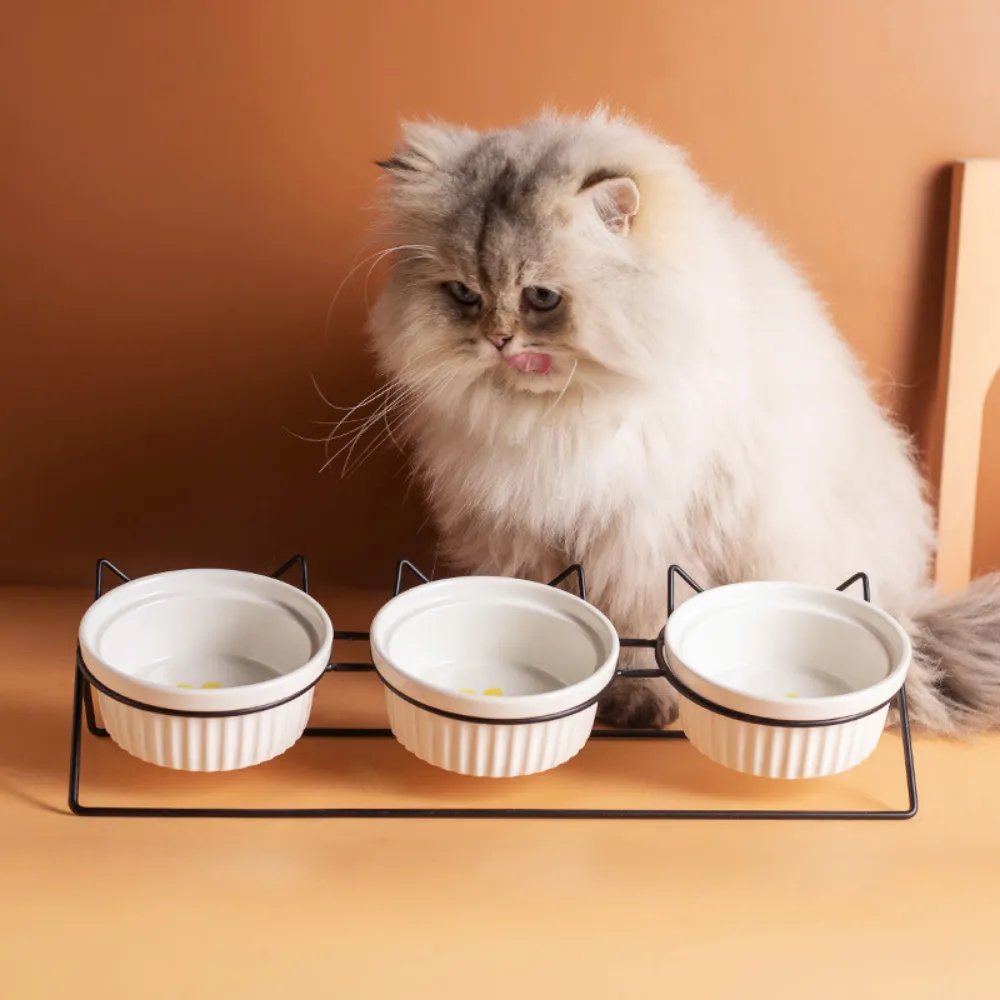 Elevated Triple Ceramic with Iron Stand Neck Protect Cat Bowls (1)