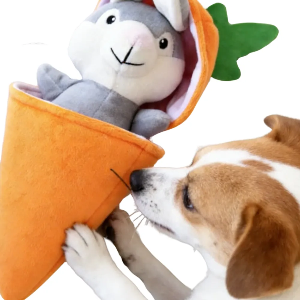 Soft Pet Dog Toy (5)