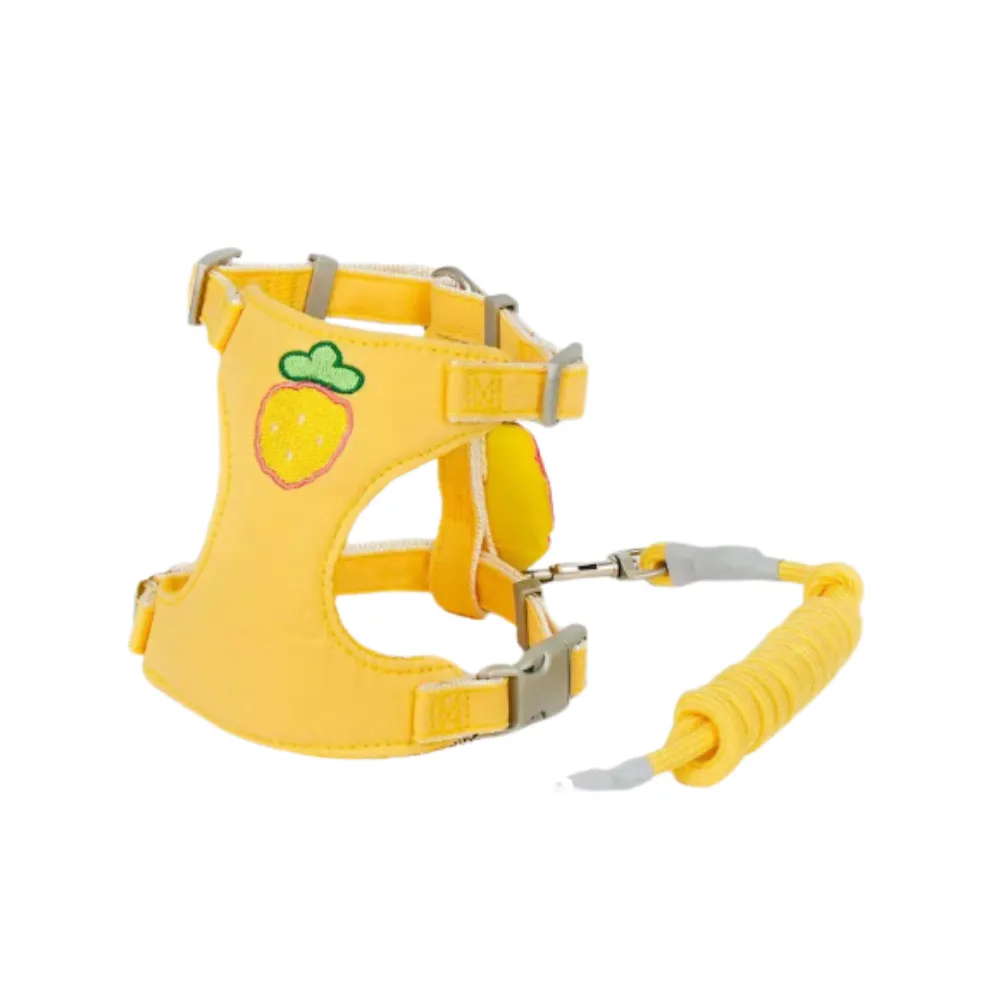 Pet harness set (3)