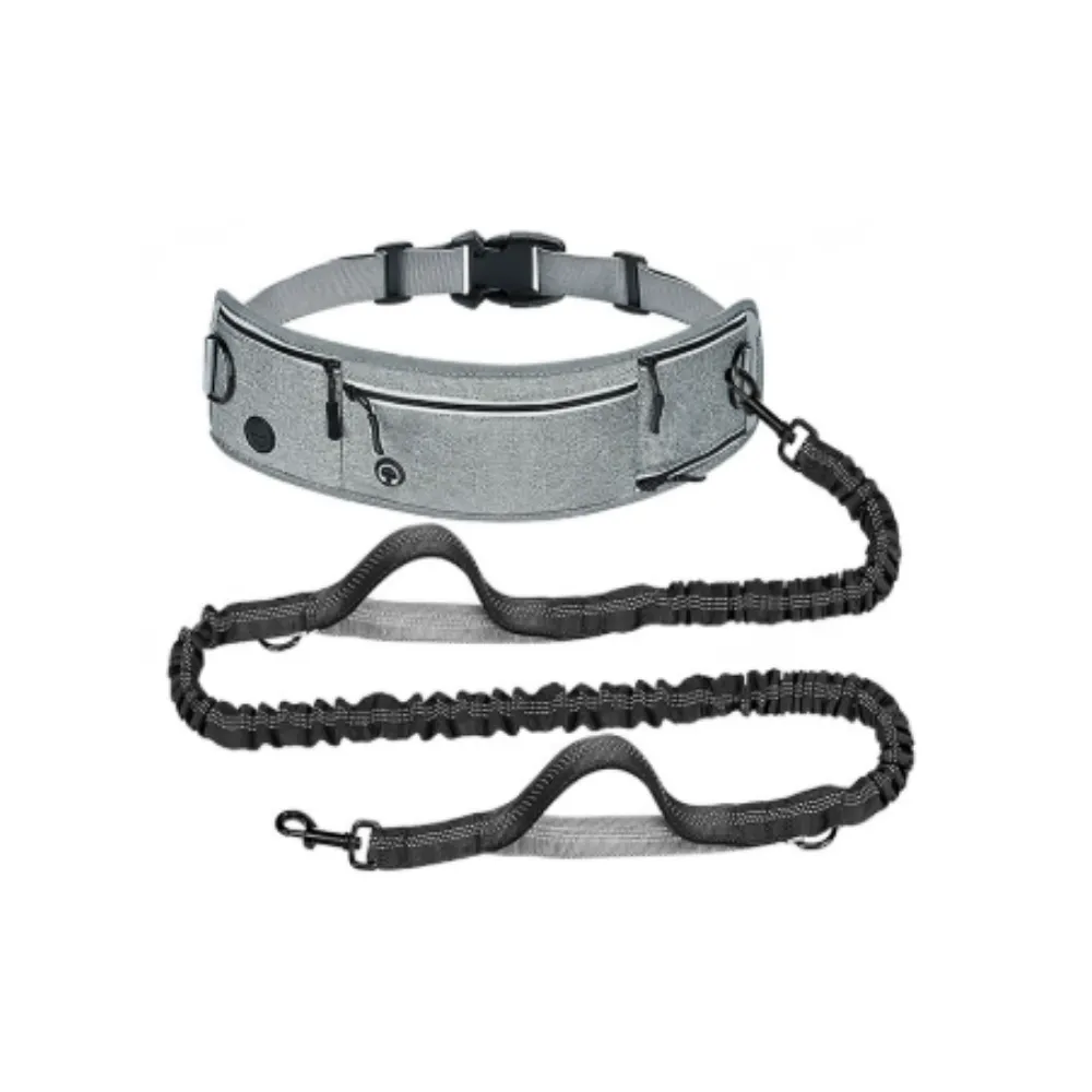 Pet training set (4) Pet training set (4)