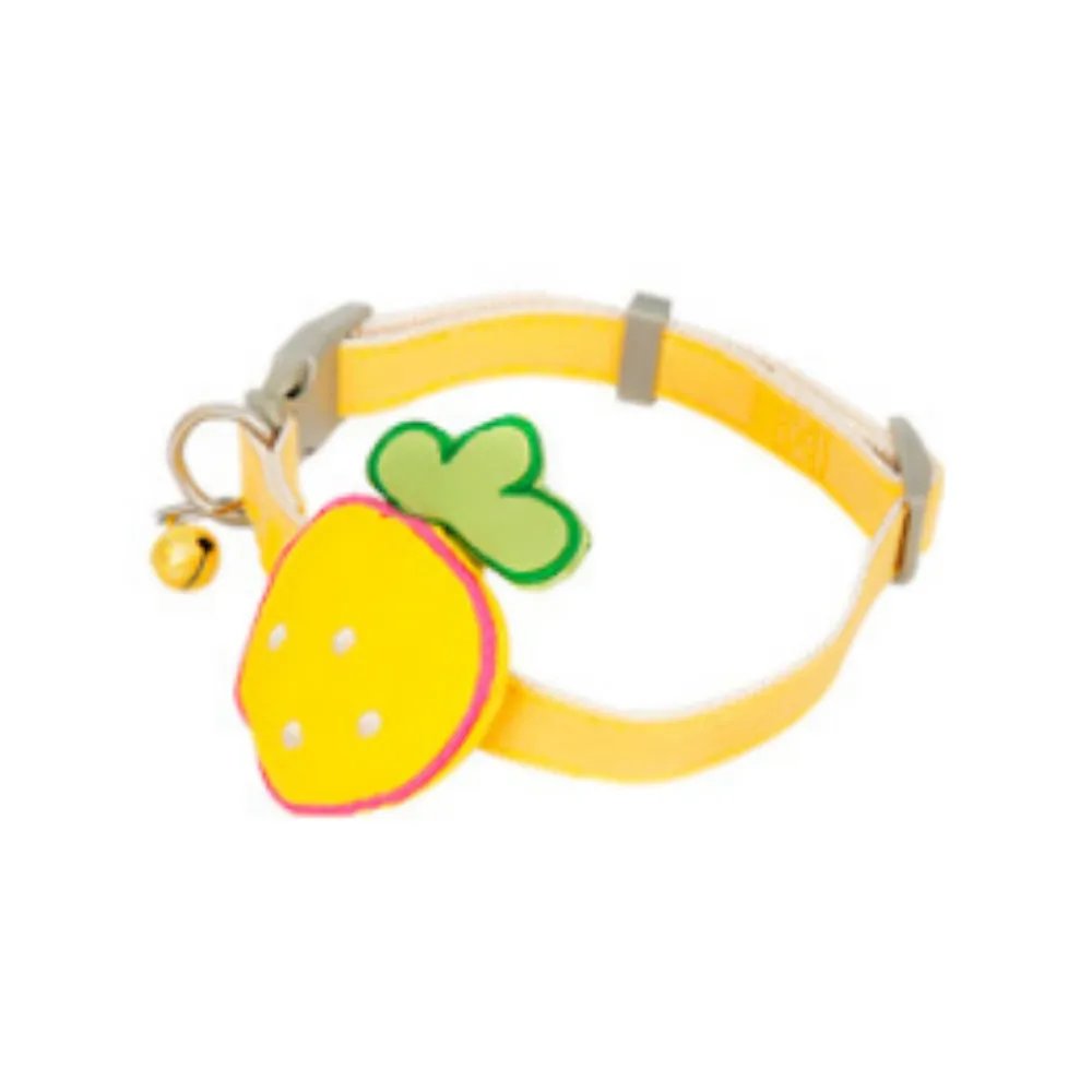 Pet collar (2)