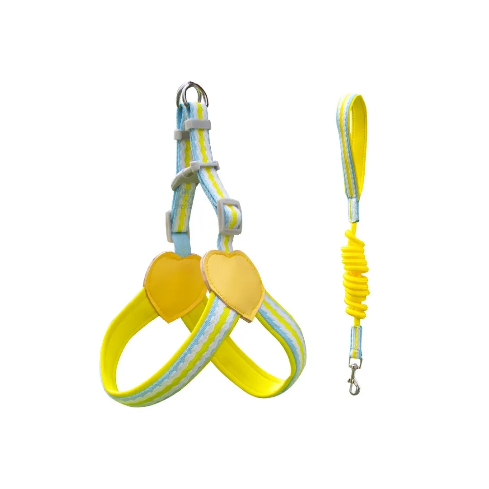 Pet harness set (1)