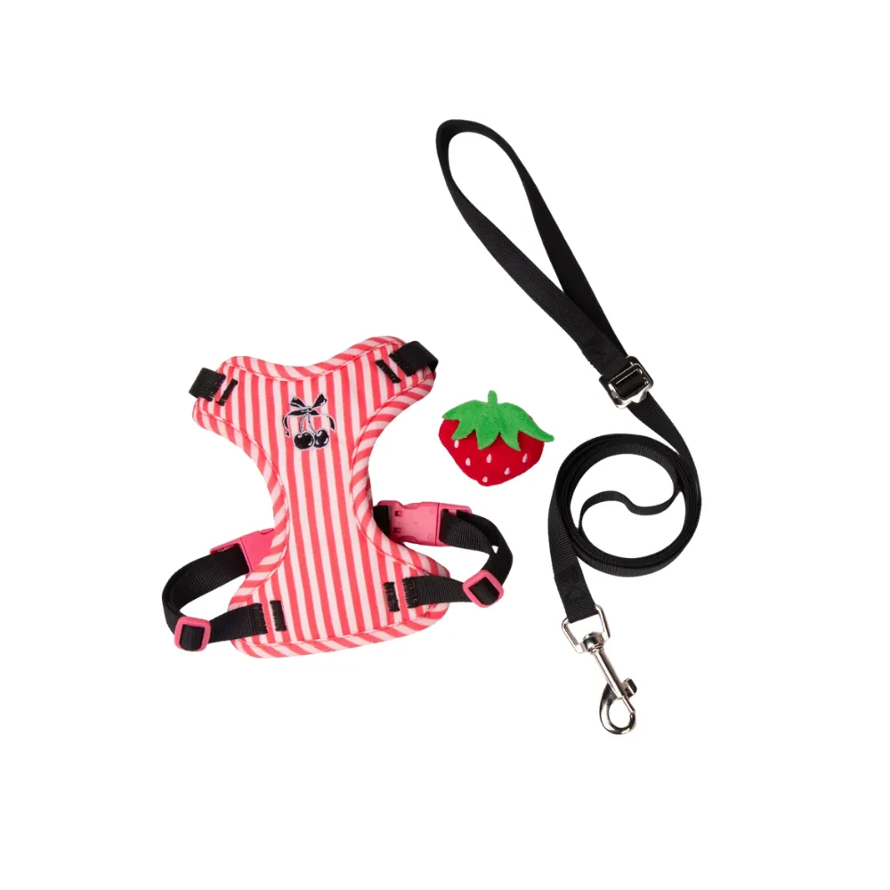 Pet harness (5)