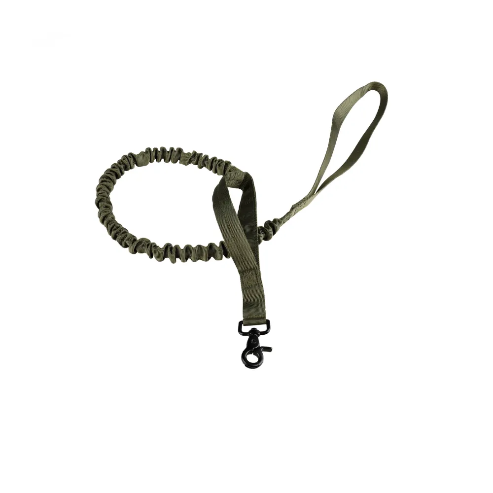 Pet leash (2)