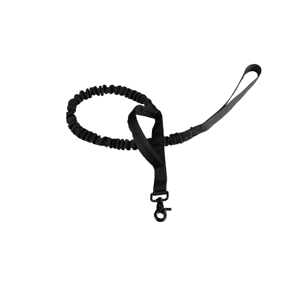 Pet leash (3)