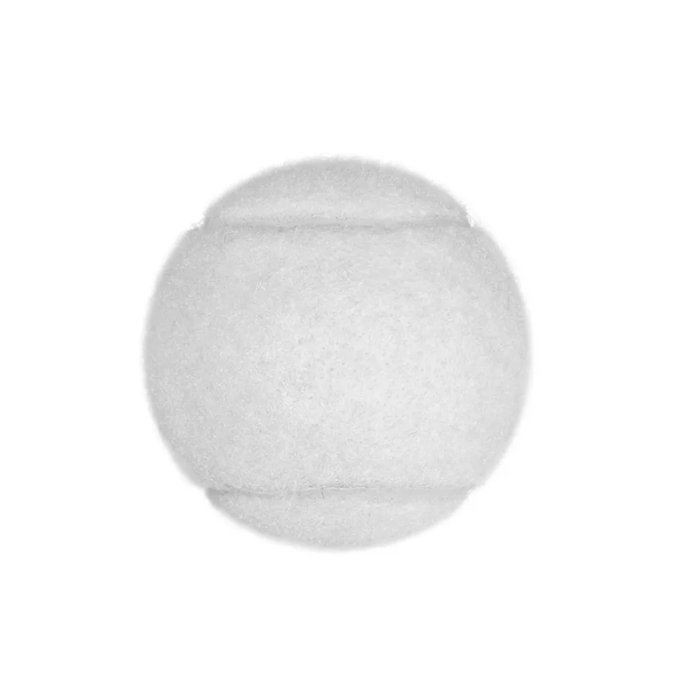 5 5