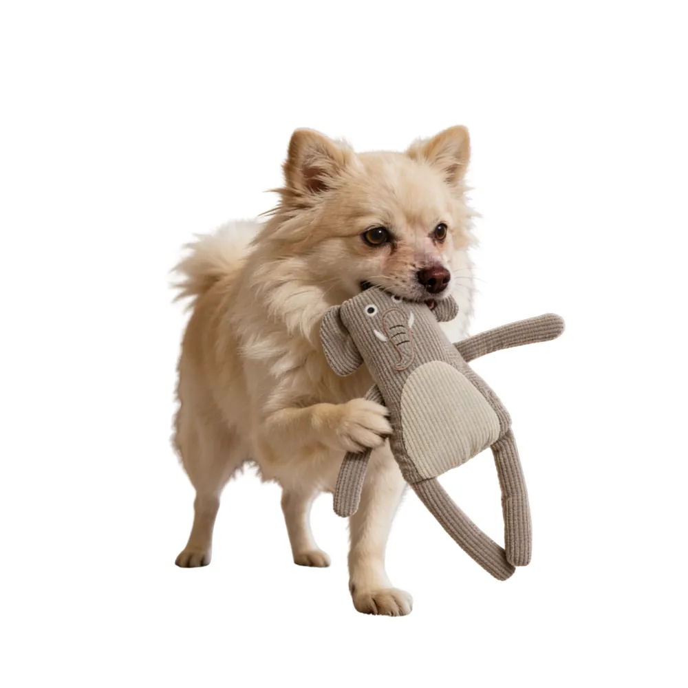 Pet toy (5) Pet toy (5)