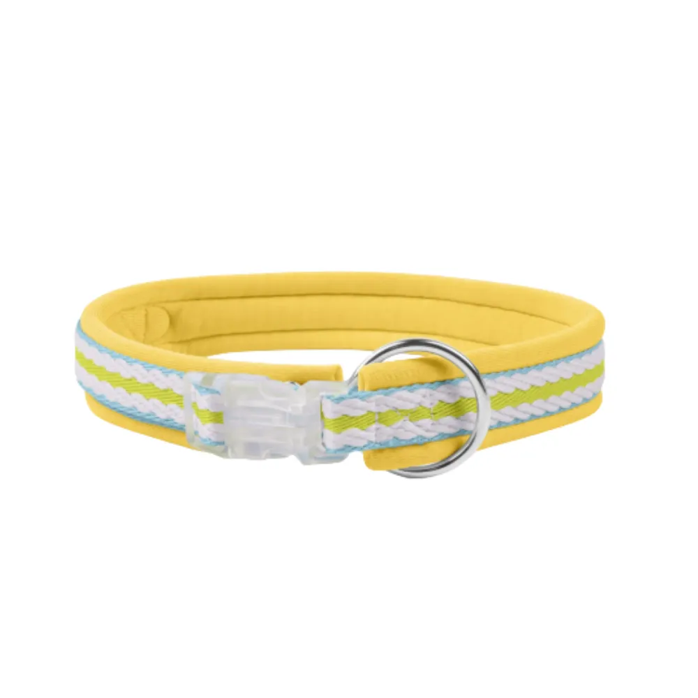 Pet collar (4) Pet collar (4)