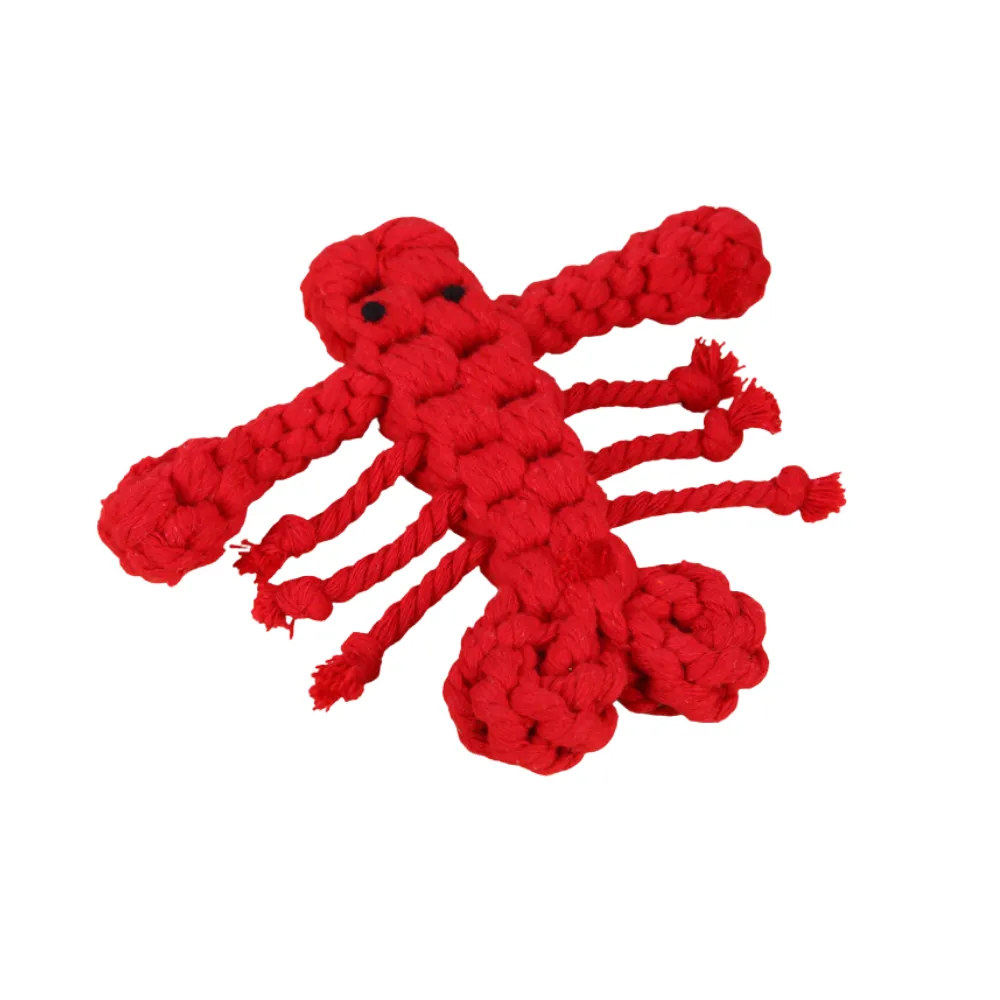 Pet lobster toy (1)