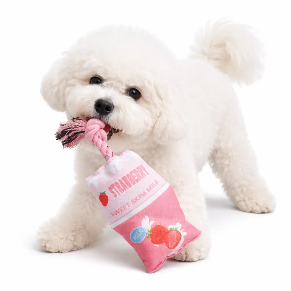 small white dog chewing strawberry milk rope toy plush chew toy