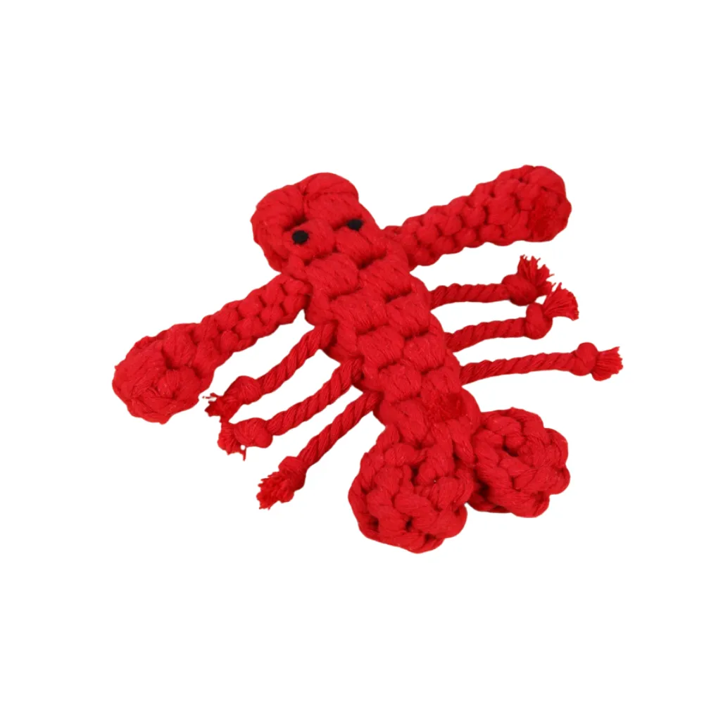 Red cotton rope lobster dog toy isolated on white background durable chew toy for dogs