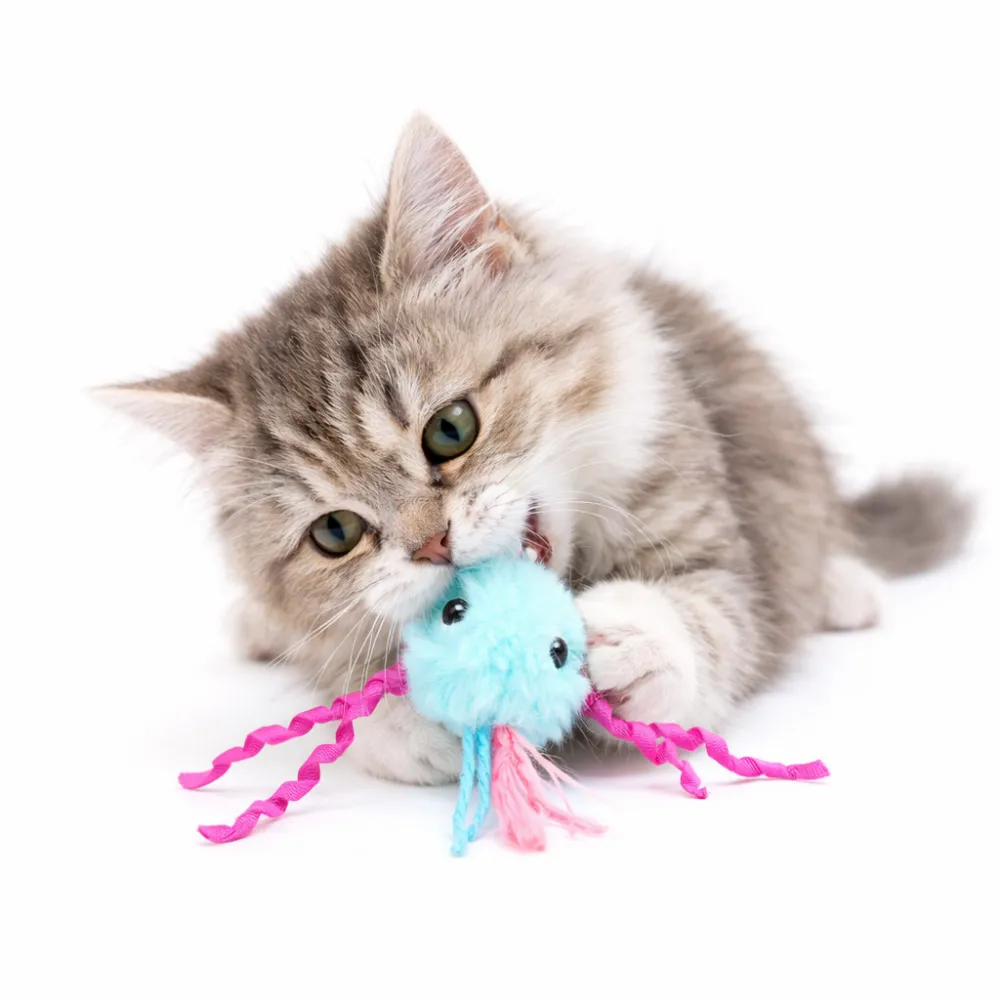 cat playing with plush octopus catnip toy interactive kitten toy soft pet toy