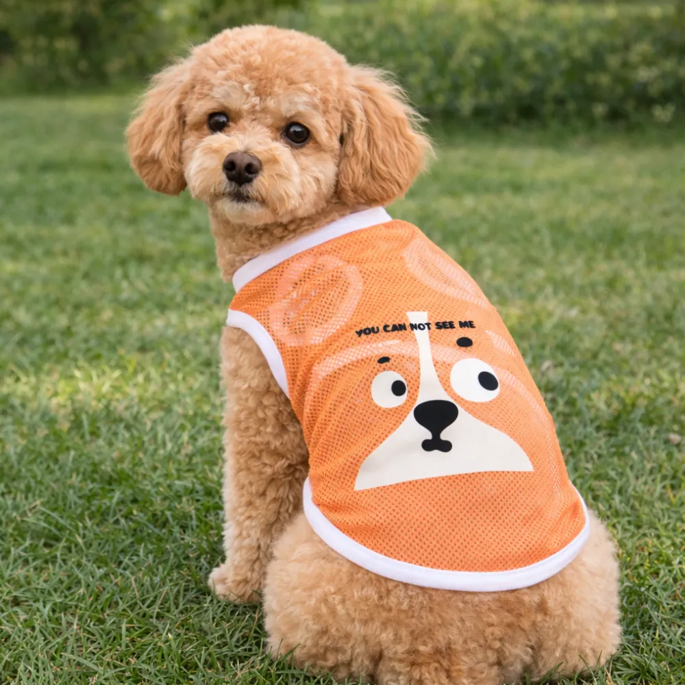 small dog wearing orange breathable mesh clothes outdoors summer pet apparel comfortable fit