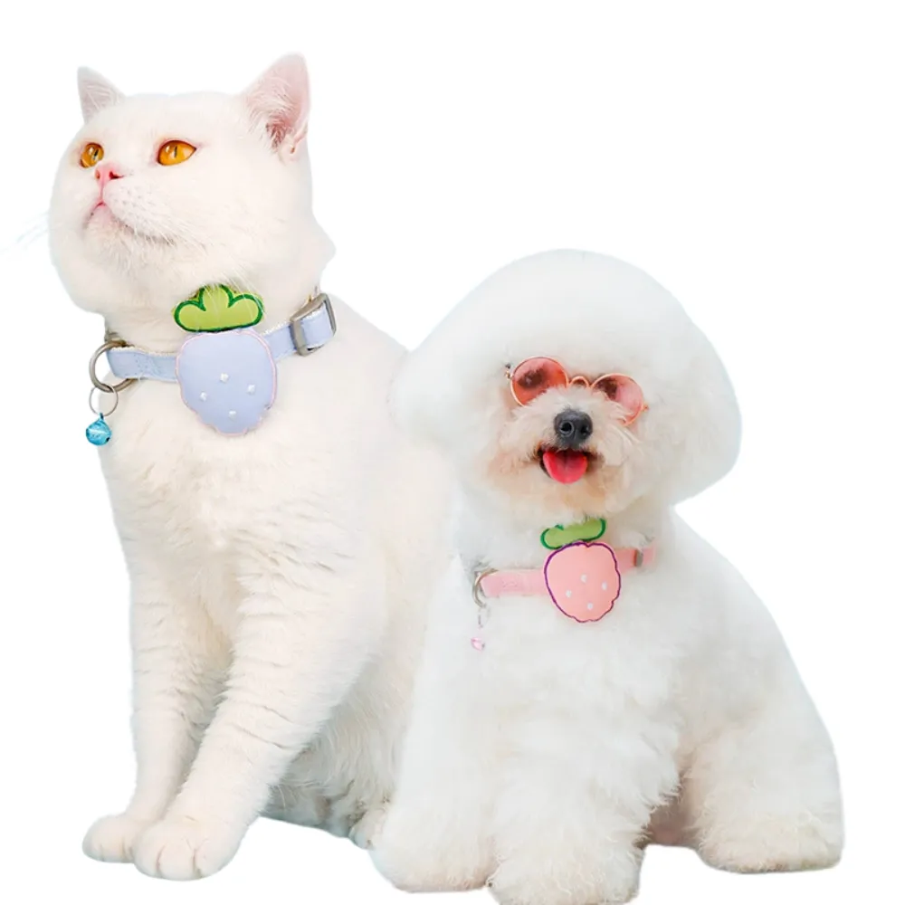cat and small dog wearing strawberry bell collar soft adjustable pet collar cute design