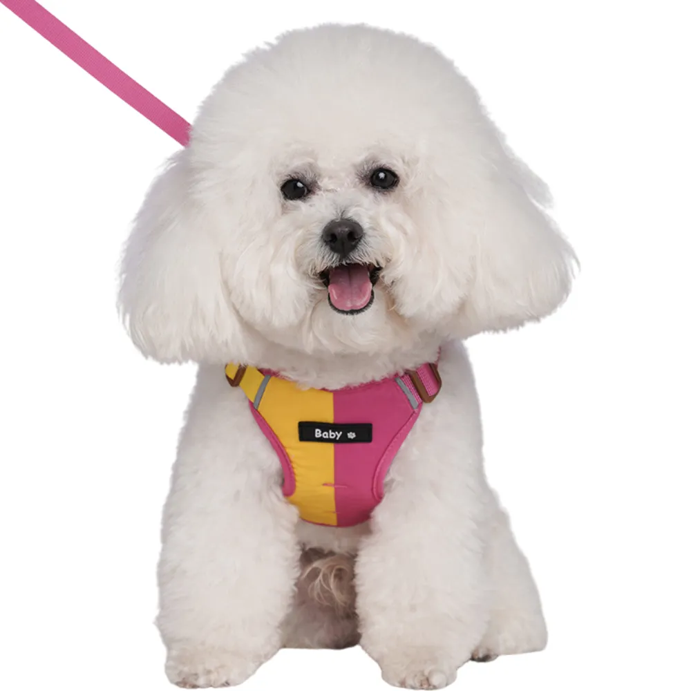 Two-Tone Dog Harness for Small Dogs | Breathable Pet Harness | Petfairs small white dog wearing pink and yellow breathable dog harness with leash set