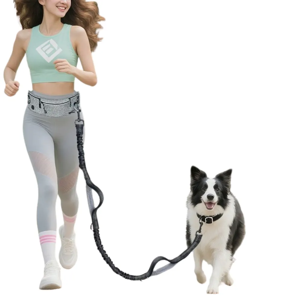 Hands-Free Dog Running Leash Belt for Jogging & Walking | Petfairs woman jogging with dog using hands-free waist leash belt anti shock dog leash