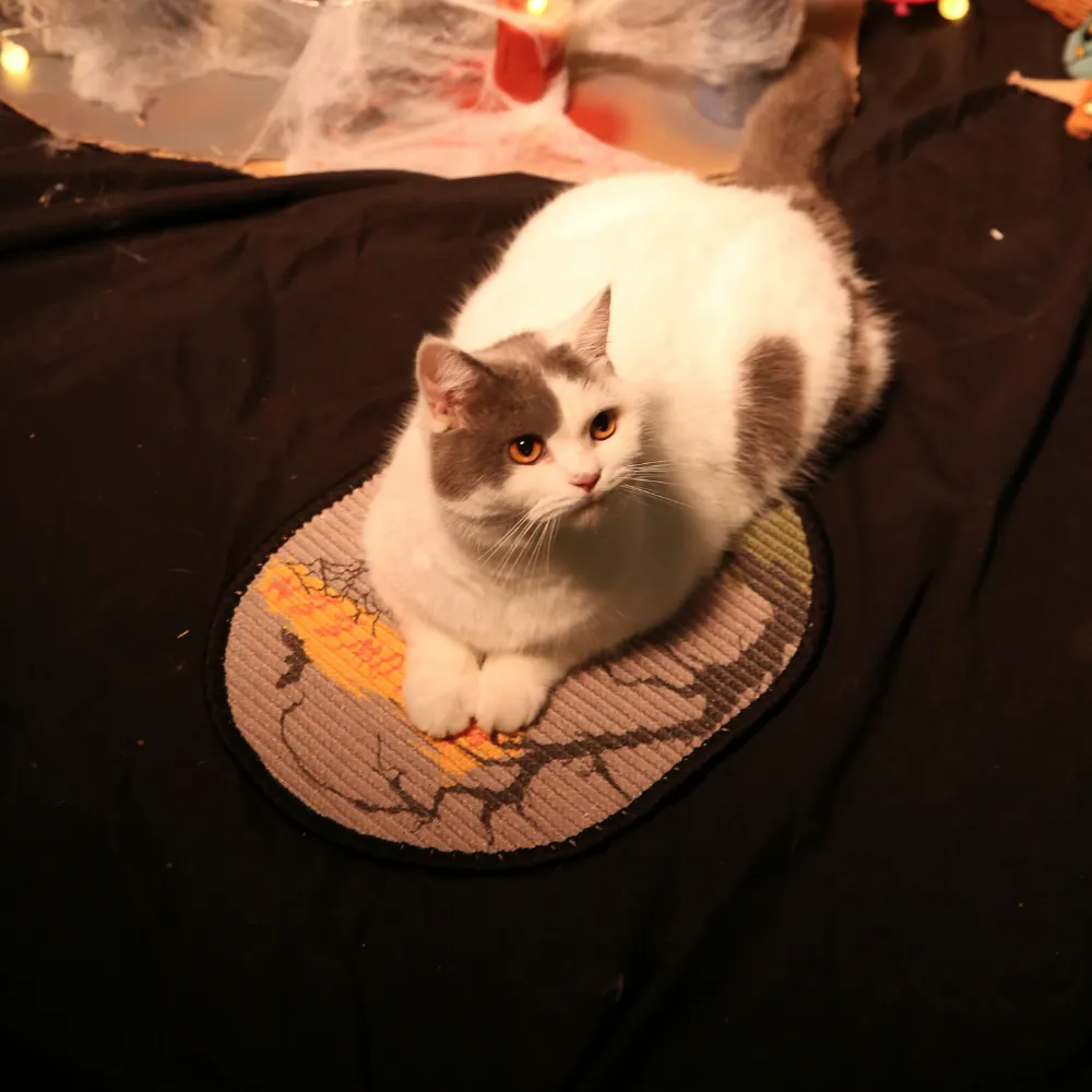 Top-down view of a white and grey cat sitting on the Halloween sisal mat on a dark fabric background.
