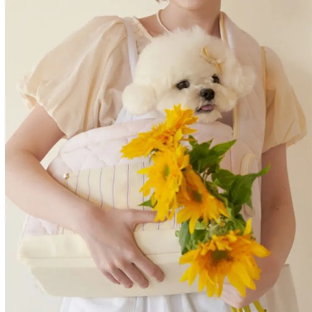 cute small dog in stylish pet carrier bag outdoor fashion portable dog travel bag