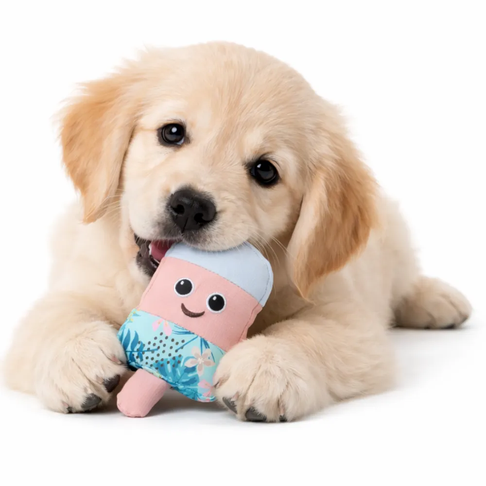 A cute Golden Retriever puppy lying down and chewing on a pink and blue summer ice pop dog toy.