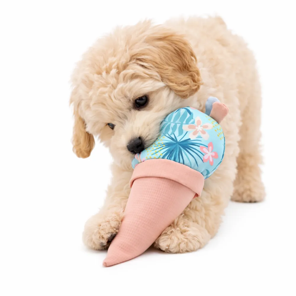 A small cream-colored puppy biting a pink and blue plush ice cream cone toy on a white background.