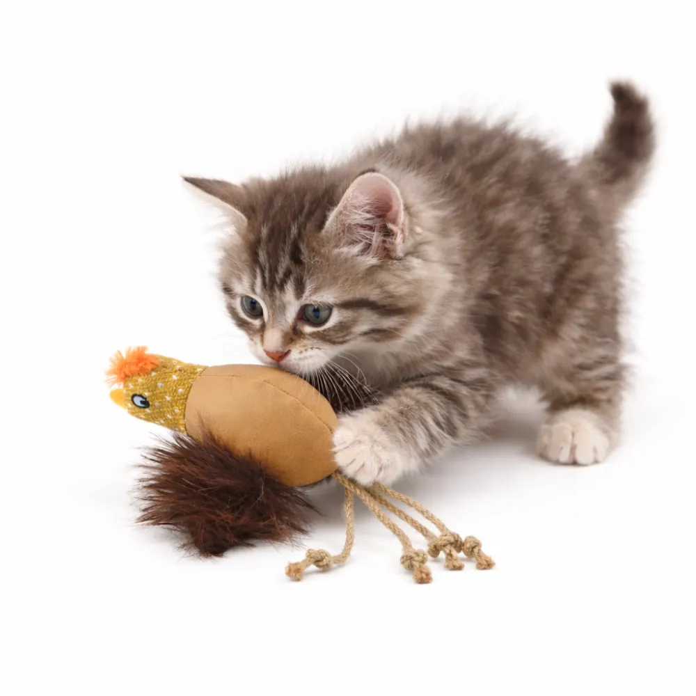 kitten-playing-with-chicken-cat-toy A fluffy grey tabby kitten pouncing on and biting a brown plush chicken toy with rope legs.