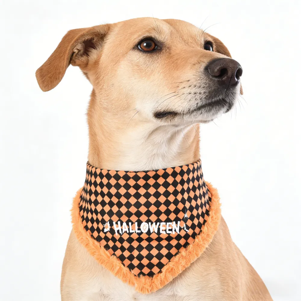 dog wearing halloween bandana orange checkered pet scarf fuzzy trim close up
