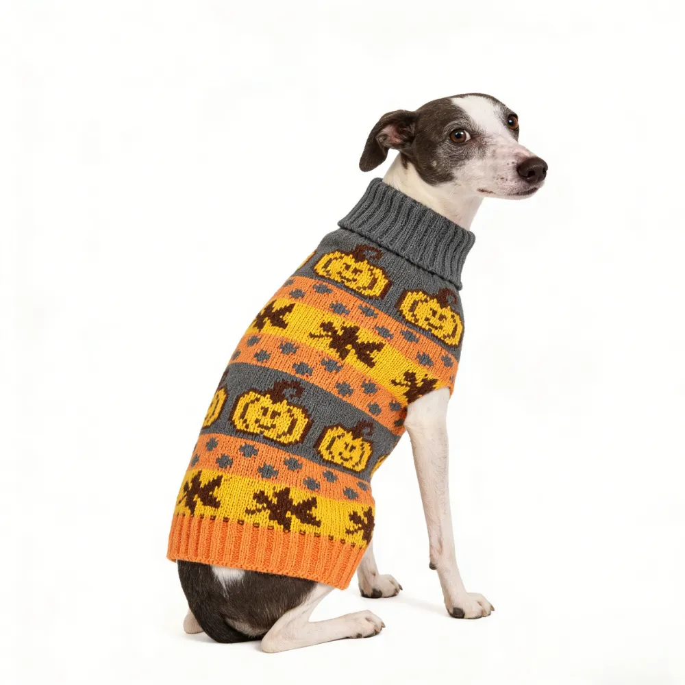 Halloween Dog Sweater Pumpkin Knit Outfit for Small Dogs dog wearing halloween pumpkin sweater knit pet clothing for small dogs