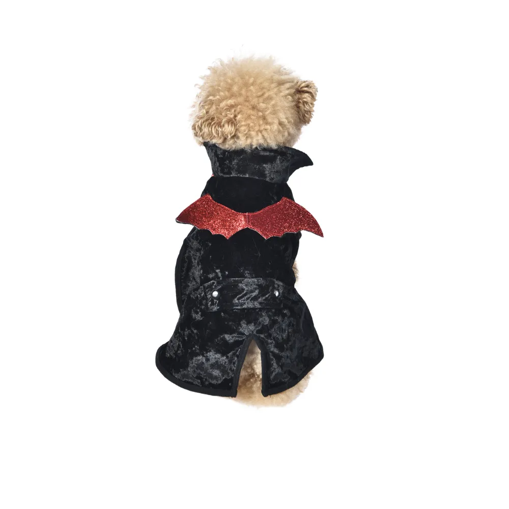 Back View of Halloween Dog Costume with Glitter Bat Wings back view of dog wearing halloween costume with red glitter bat wings black velvet outfit