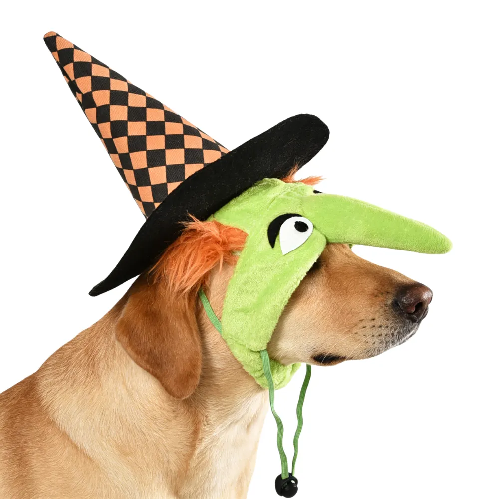 Halloween Dog Witch Hat Side View | Pet Cosplay Costume Bulk | Petfairs dog wearing halloween witch hat costume side view green face cosplay pet accessory wholesale