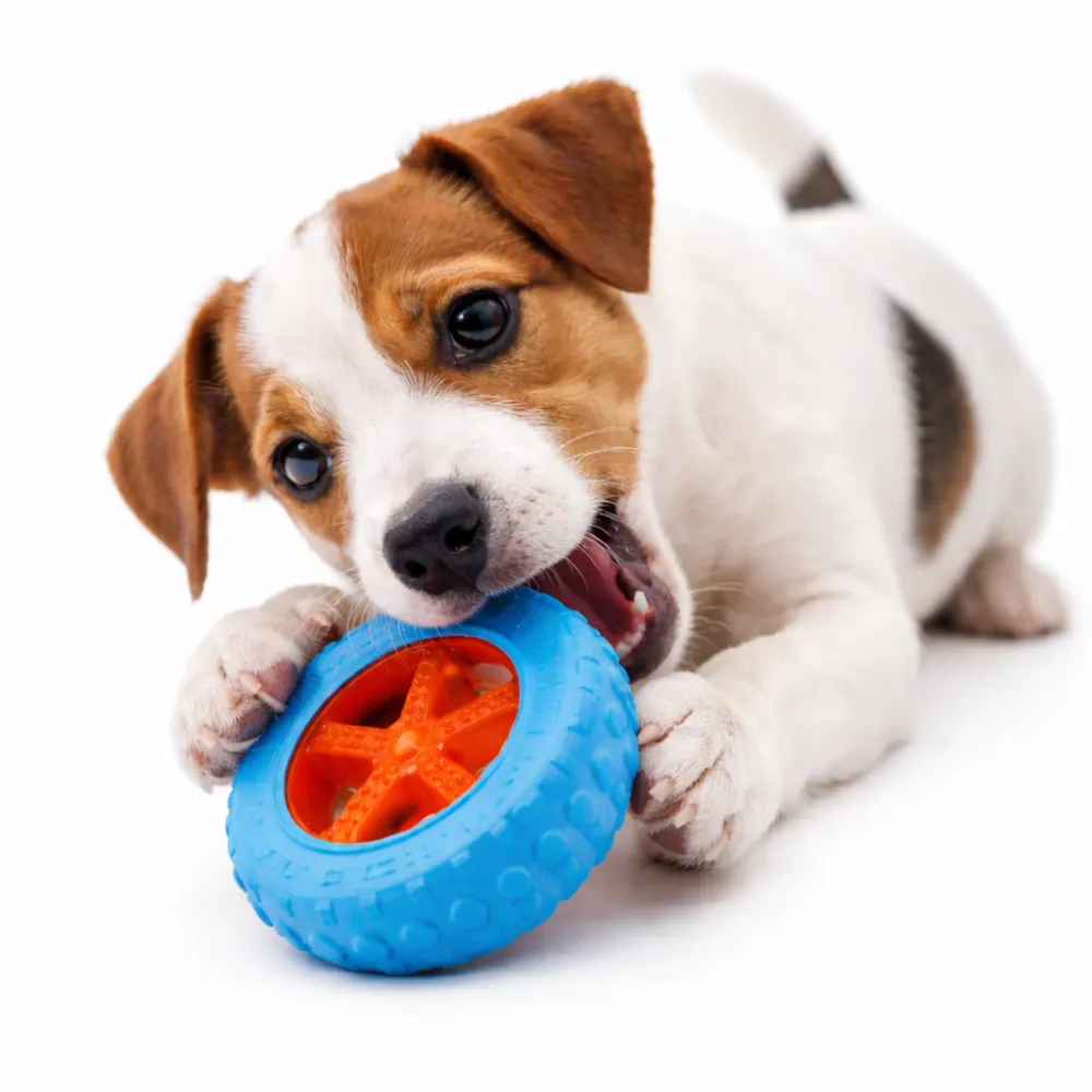 dog chewing durable tire chew toy for aggressive chewers blue rubber dog toy