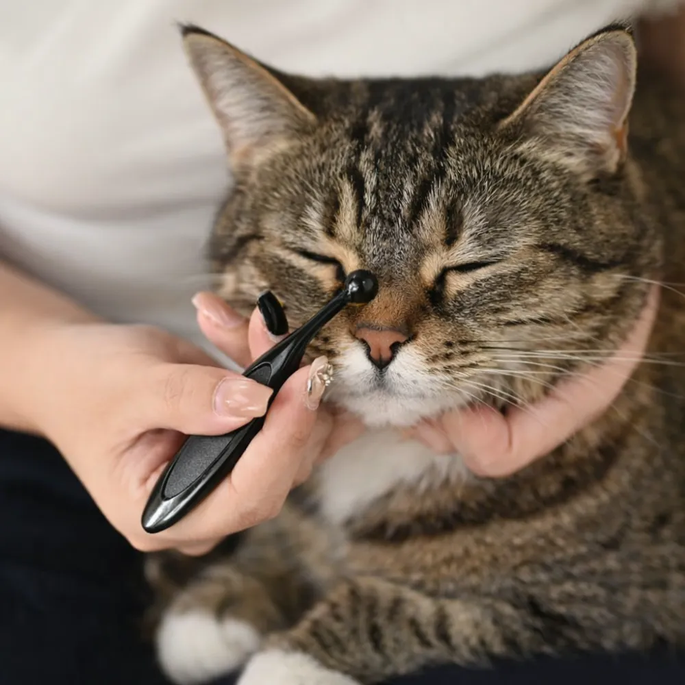 cat eye cleaning brush soft grooming tool safe pet face care cleaning