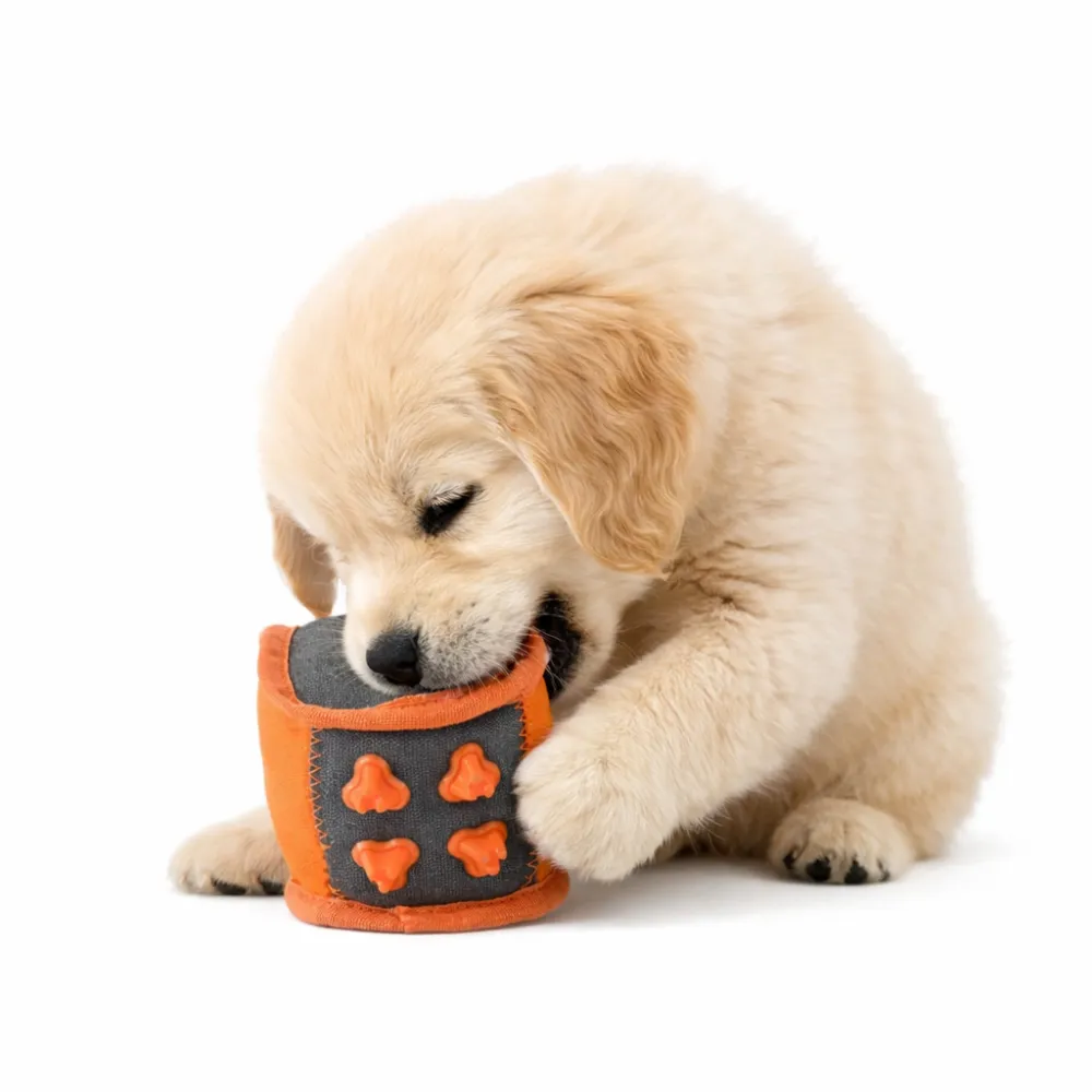 golden-retriever-puppy-chewing-squeaky-dice-toy A Golden Retriever puppy happily chewing on a durable orange and grey squeaky dice dog toy.