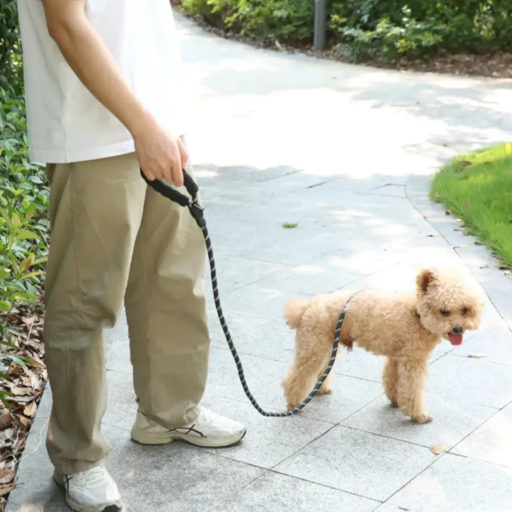 A person walking a small dog in a park using a black reflective rope leash.