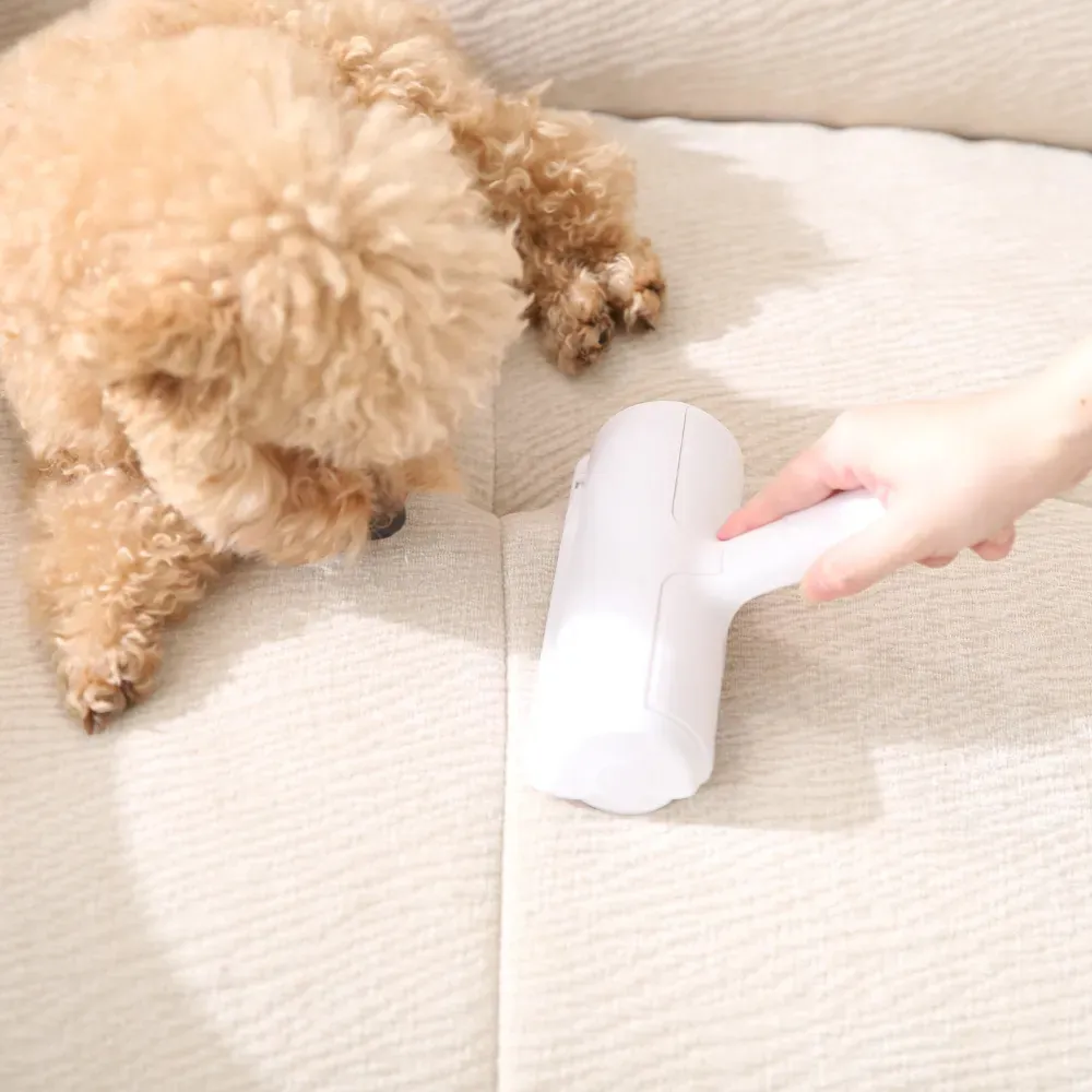A person using a white pet hair remover roller to clean dog fur off a beige textured sofa next to a curly-haired dog.