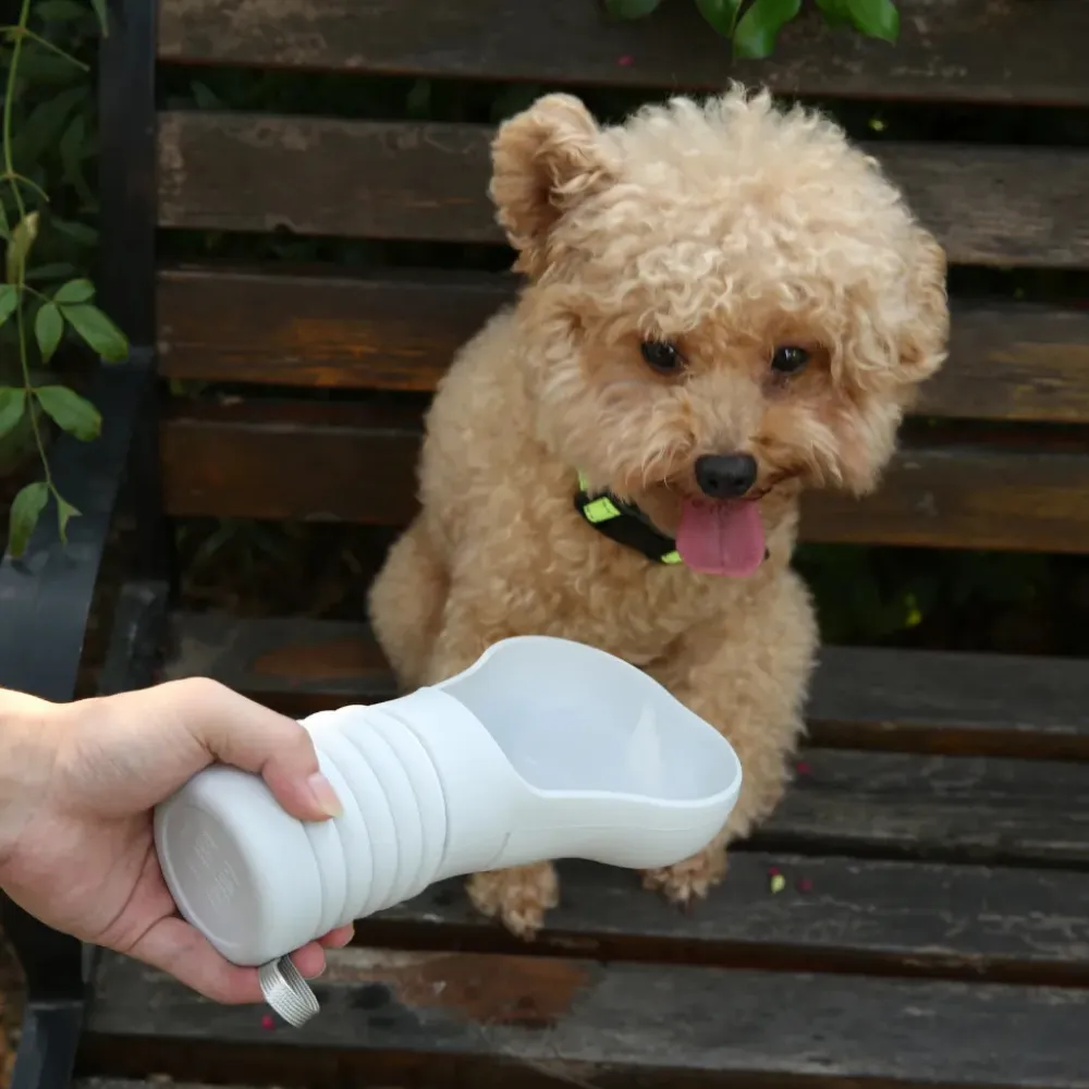 dog using portable collapsible water bottle outdoor travel pet hydration solution