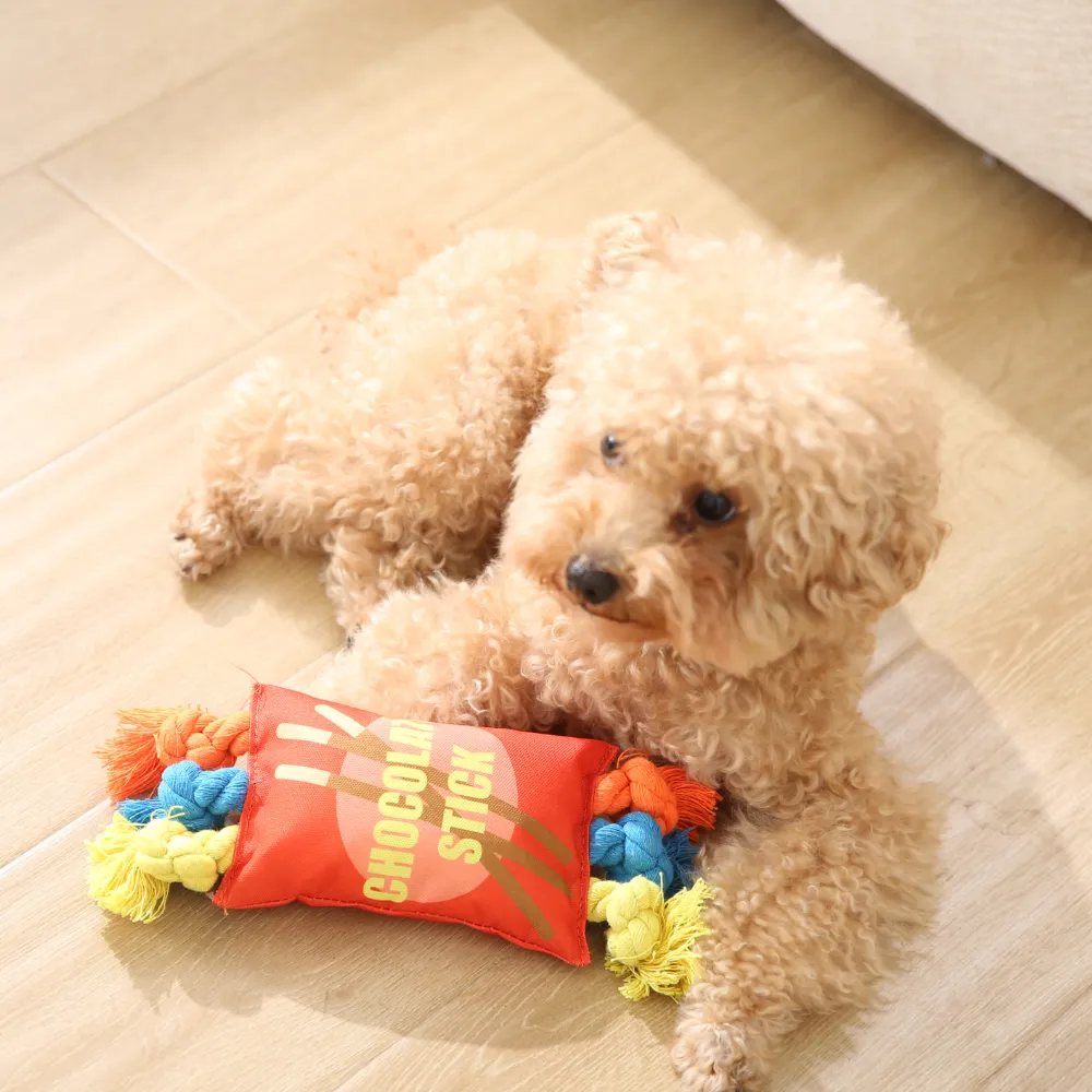 small dog playing rope chew toy indoor interactive training toy